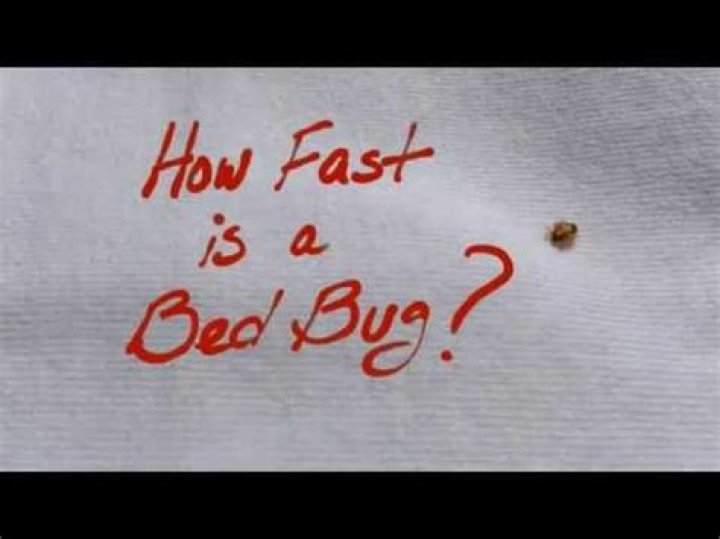 How fast do bedbugs crawl?