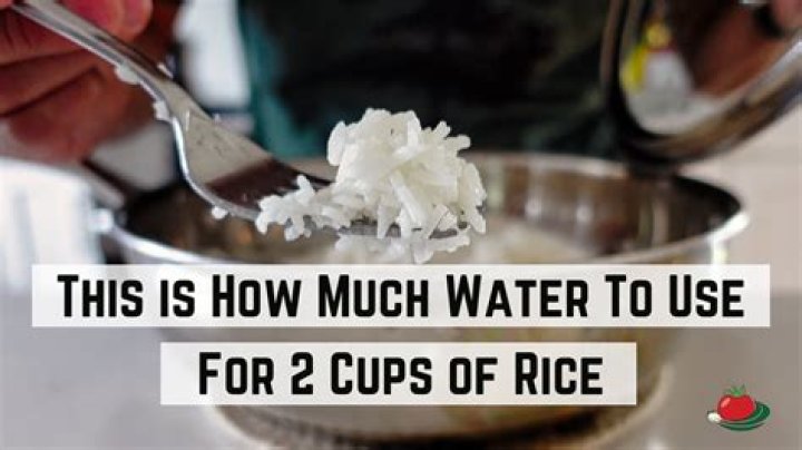 How fast does rice absorb water?