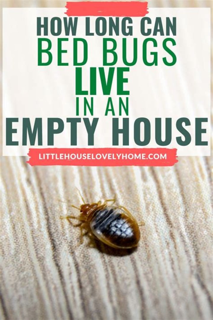 How long can bed bugs live in an empty house?