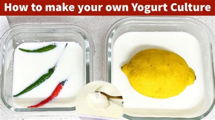 How long can you keep homemade yogurt?