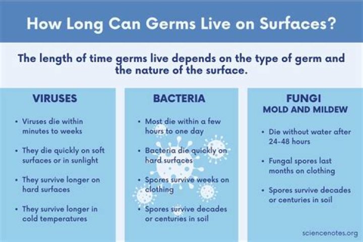 How long do germs from urine live?