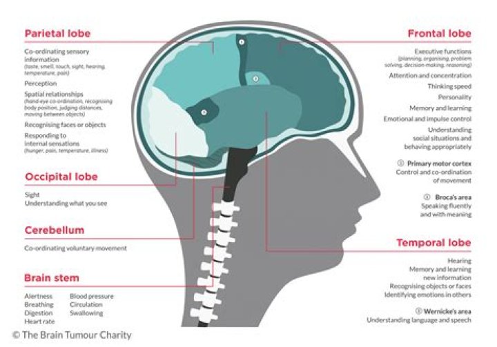 How long does a brain tumor headache last?