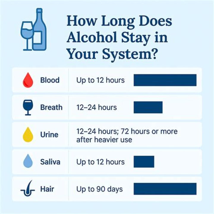 How long does it take 4 beers to leave your system?
