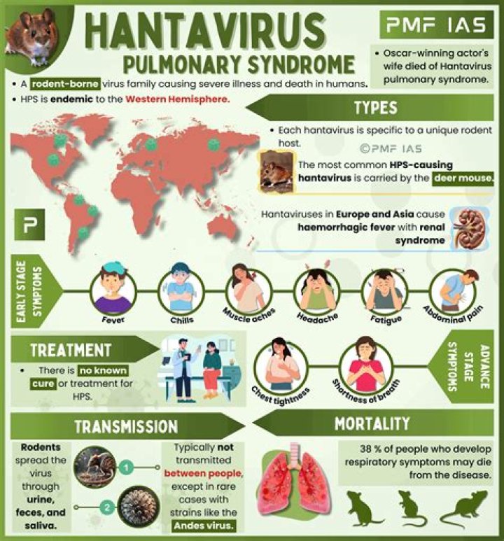 How long does it take for hantavirus symptoms to show?