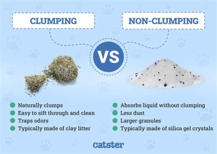 How long does non clumping litter last?