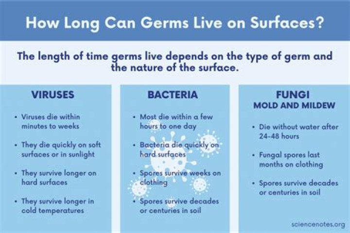 How long does the wart virus live on objects?