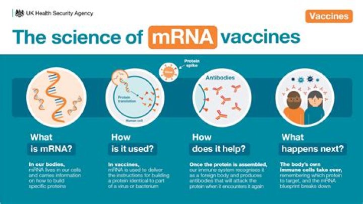 How long has the mRNA vaccine been around?