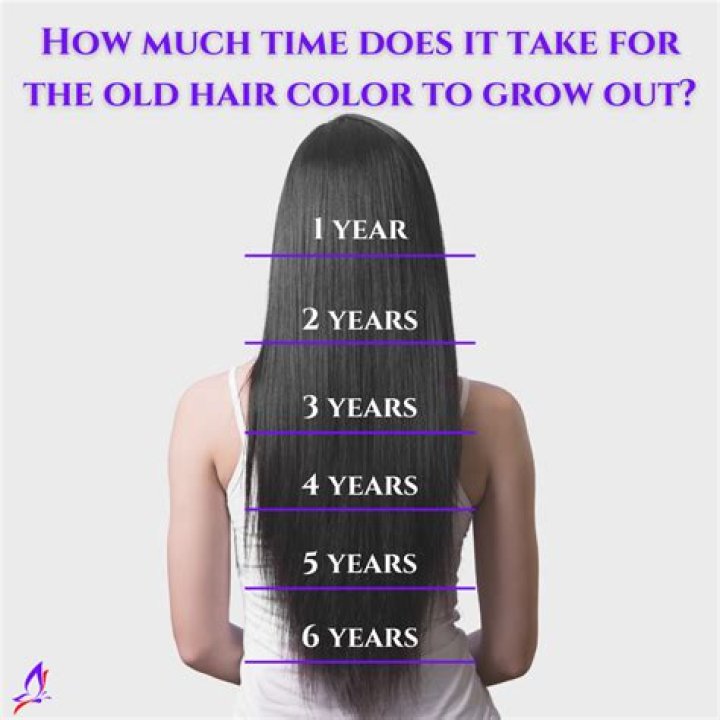 How long will my hair be in 2 years?