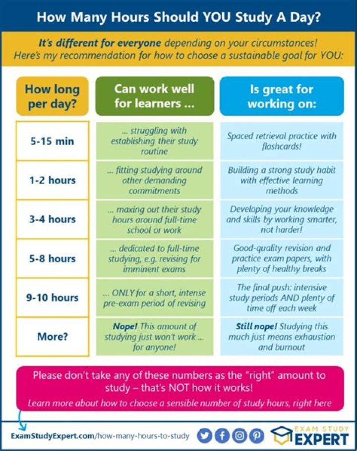 How many hours a day should you spend with your dog?