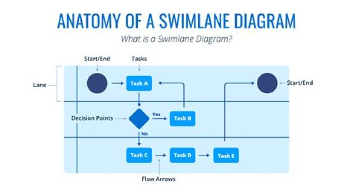 How many laps should I swim as a beginner?