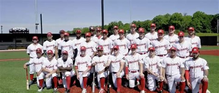 How many minor league baseball teams are in Tennessee?