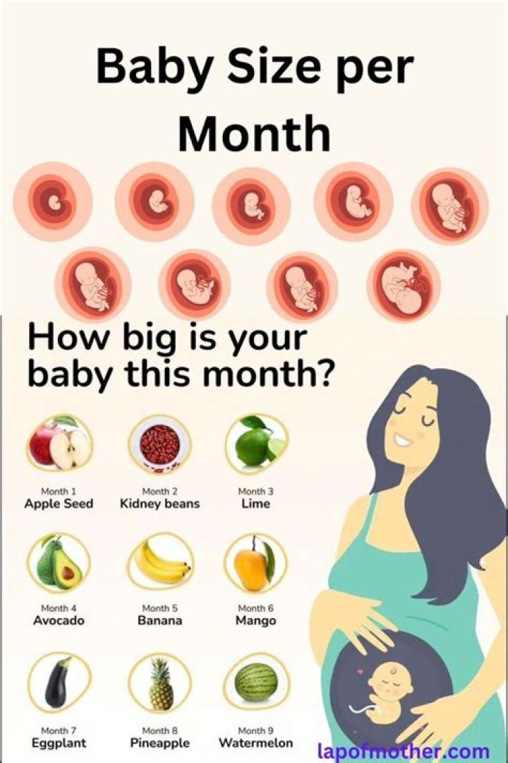 How many months is a fox pregnant?