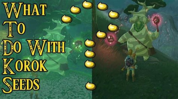 How many seeds are in Korok?