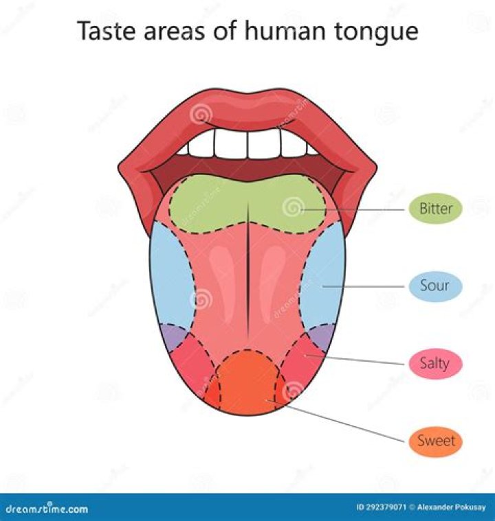 How many taste does the human tongue have?