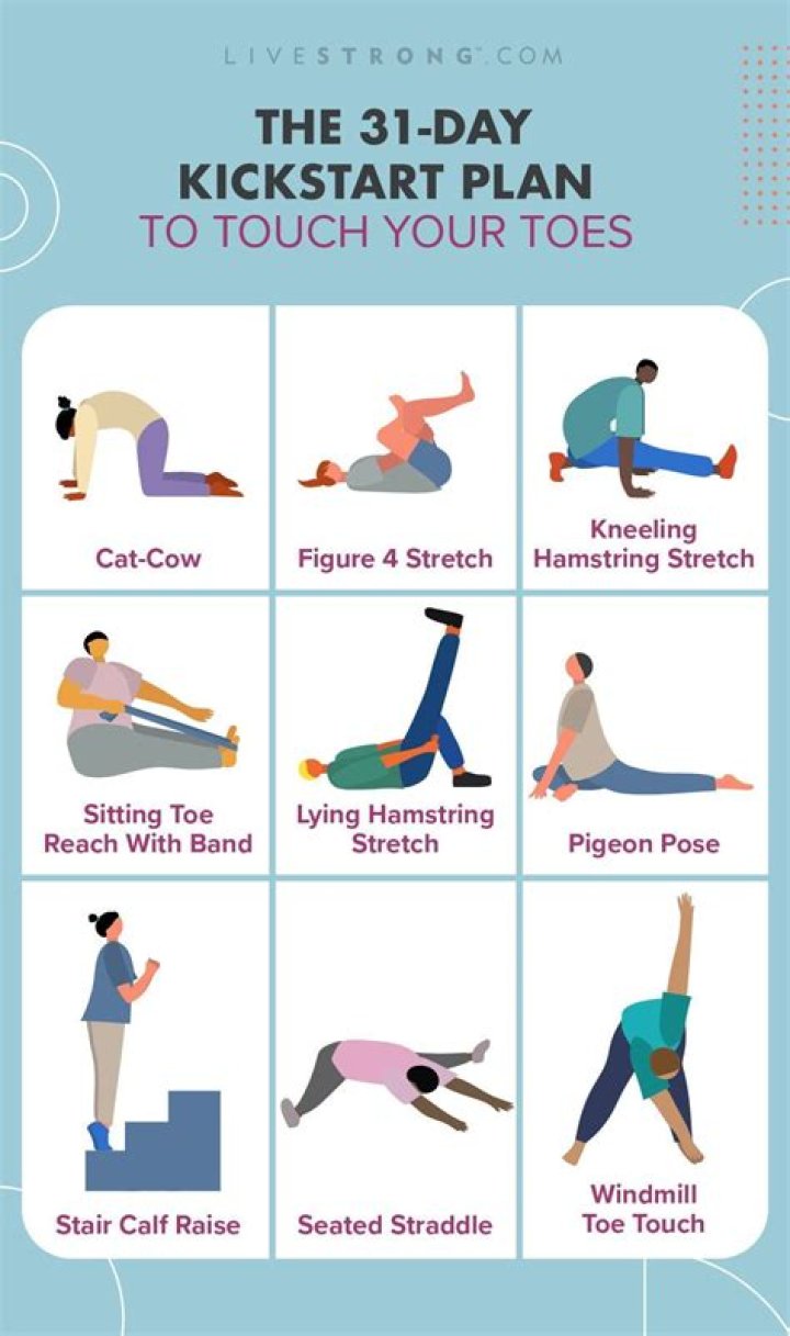 How many times a day should you touch your toes?