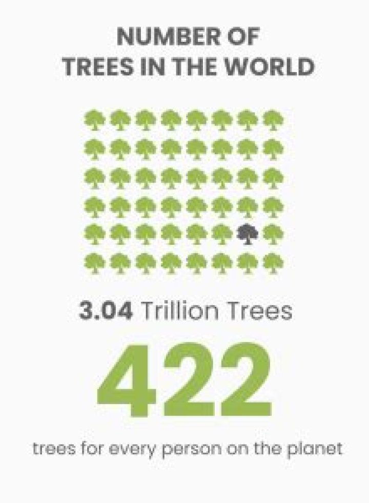 How many trees were there 100 years ago?