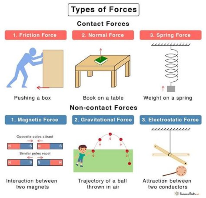 How many types of action queries are there?