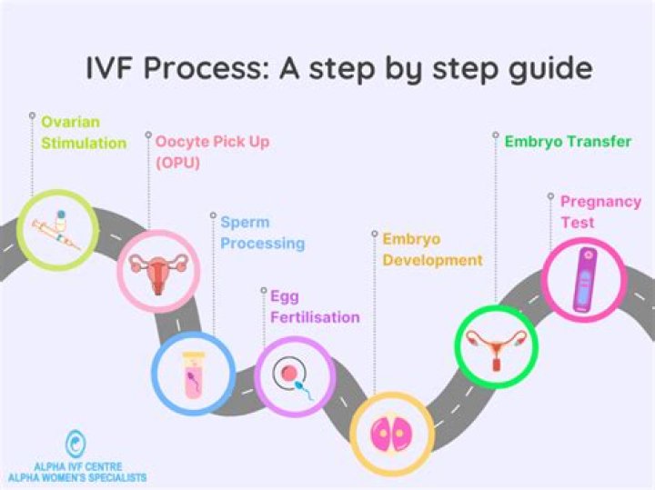 How many weeks pregnant are you after IVF transfer?