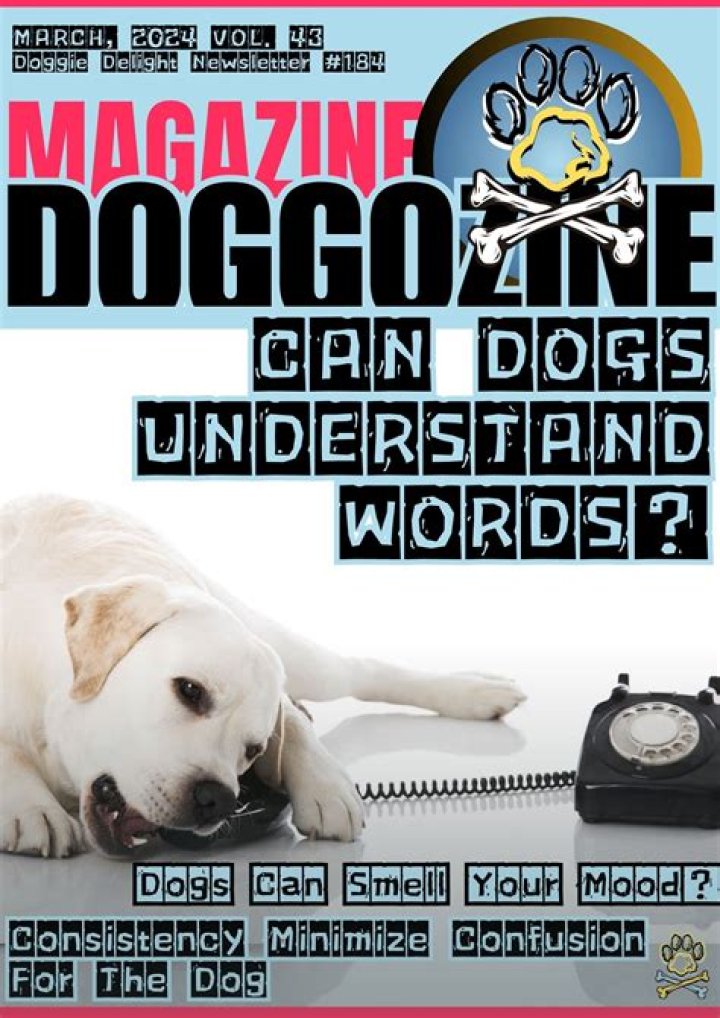 How many words do dogs understand?