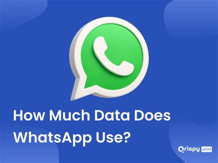 How much data does a 1 hour WhatsApp call use?
