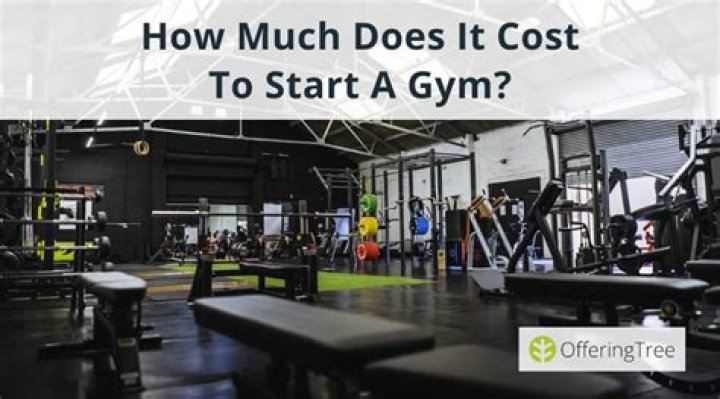 How much does it cost to own a Planet Fitness?