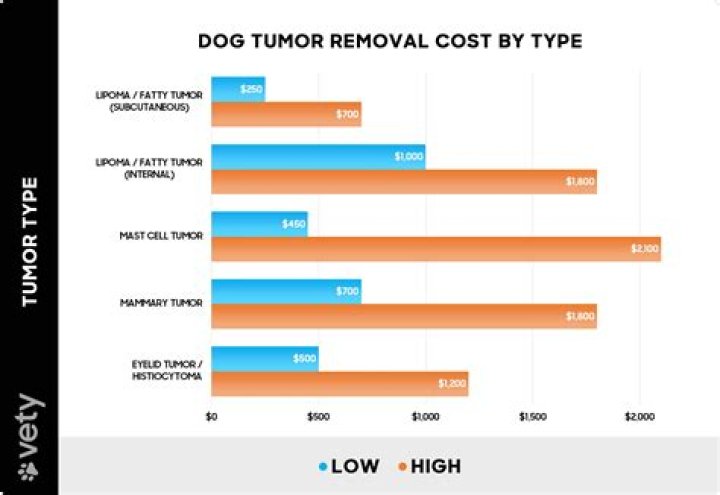 How much does it cost to remove object from dog's stomach?