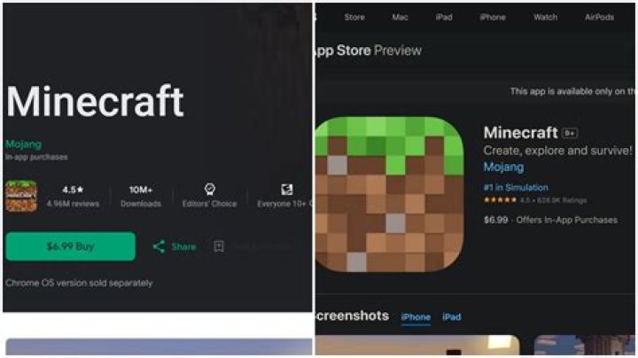 How much is Minecraft on iPad?