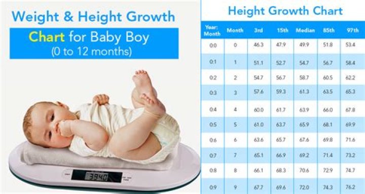 How much should a 2 month old weigh?
