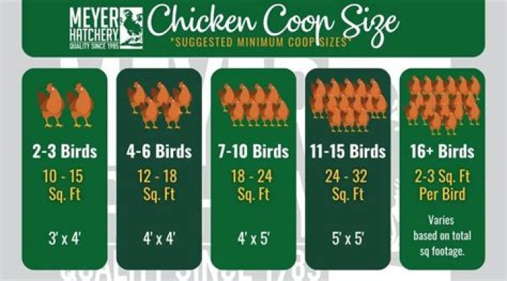 How often should a coop be cleaned?