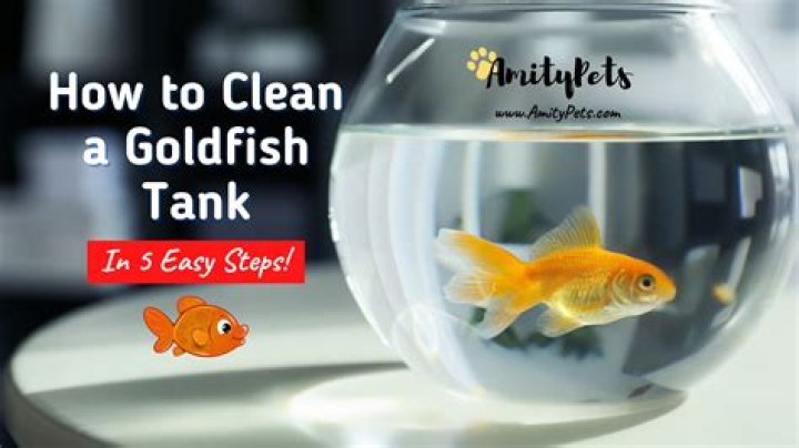 How often should you clean goldfish tank?