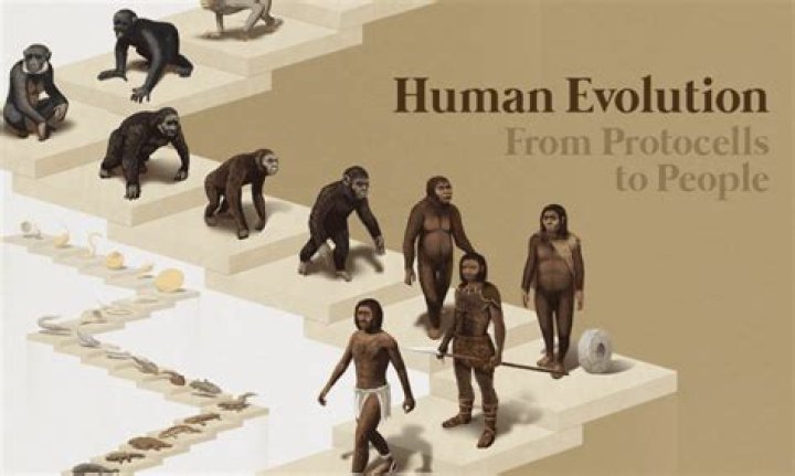 How old are humans in the Bible?