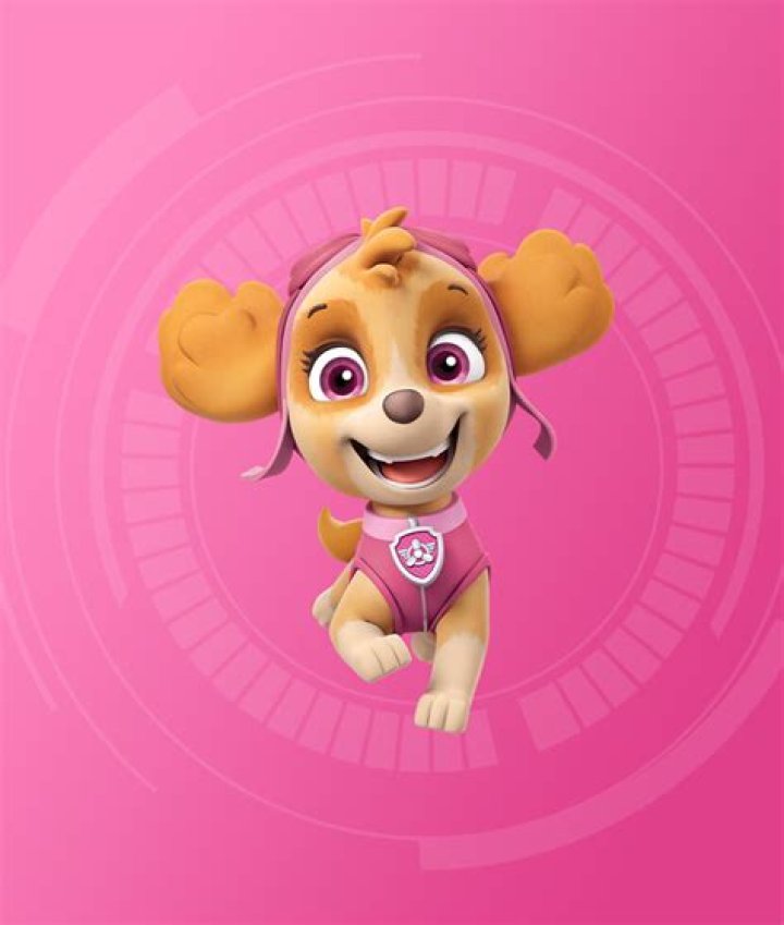 How old is Skye from PAW Patrol?
