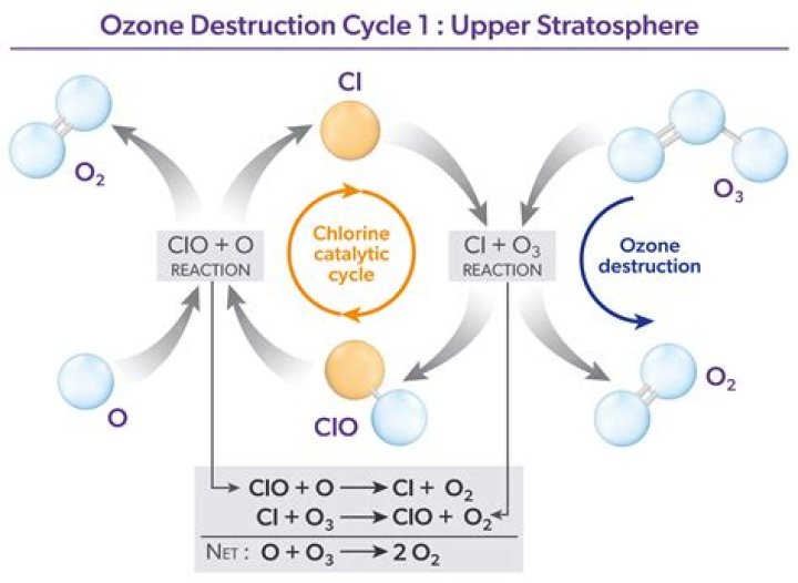 How quickly does ozone dissipate?