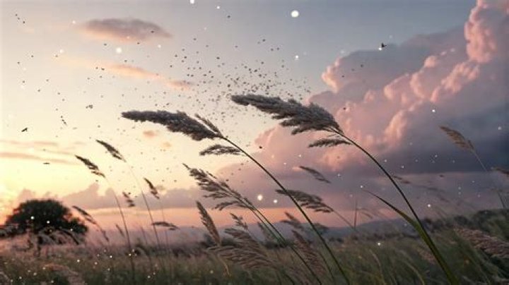 How rare is it to lucid dream every night?