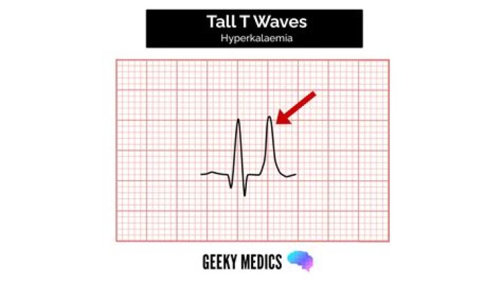 How tall is a 2 foot wave?