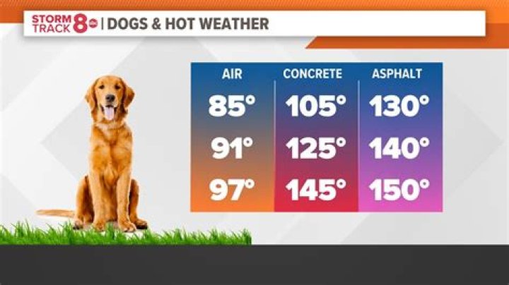 Is 82 degrees too hot for aquarium?