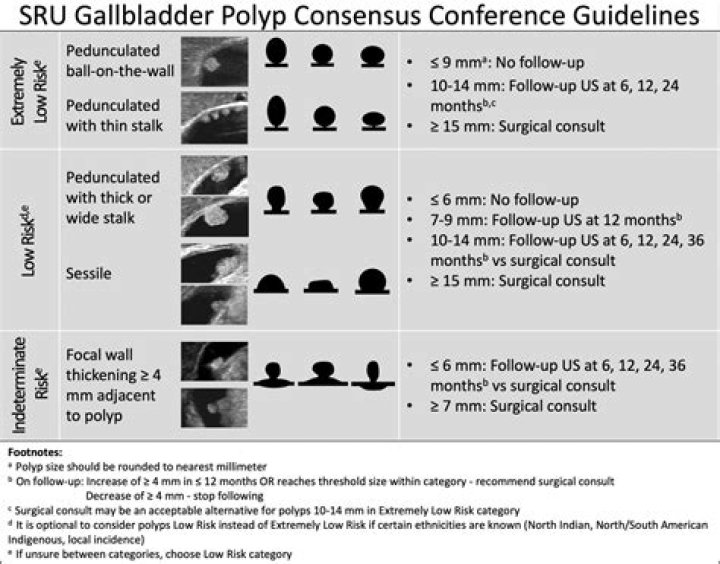 Is a 8 mm polyp considered large?