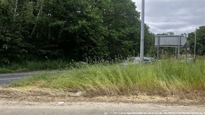 Is a grass verge a highway?