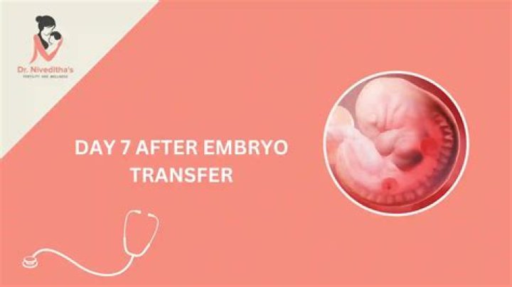 Is Apple good after embryo transfer?