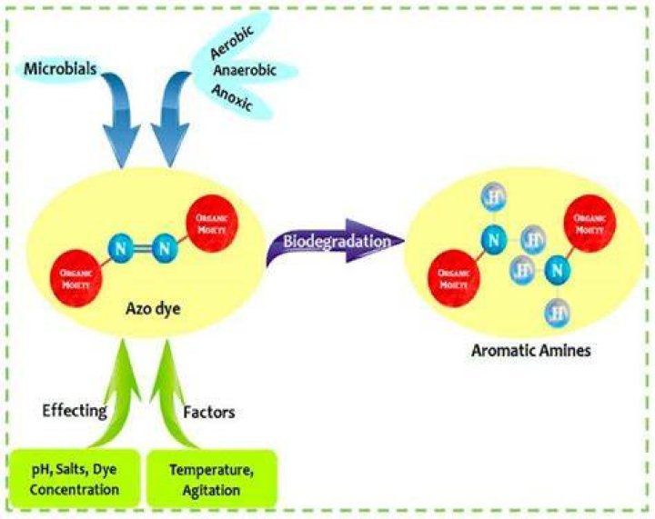 Is Azo safe to take everyday?