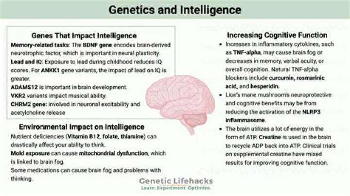 Is being smart genetic?