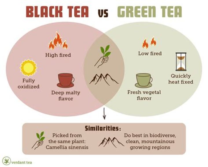 Is black tea better than green tea?
