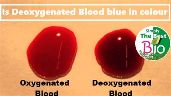 Is blood actually blue?