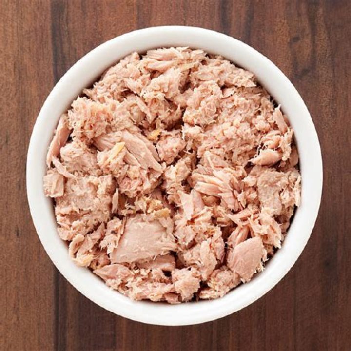 Is canned tuna healthy for you?