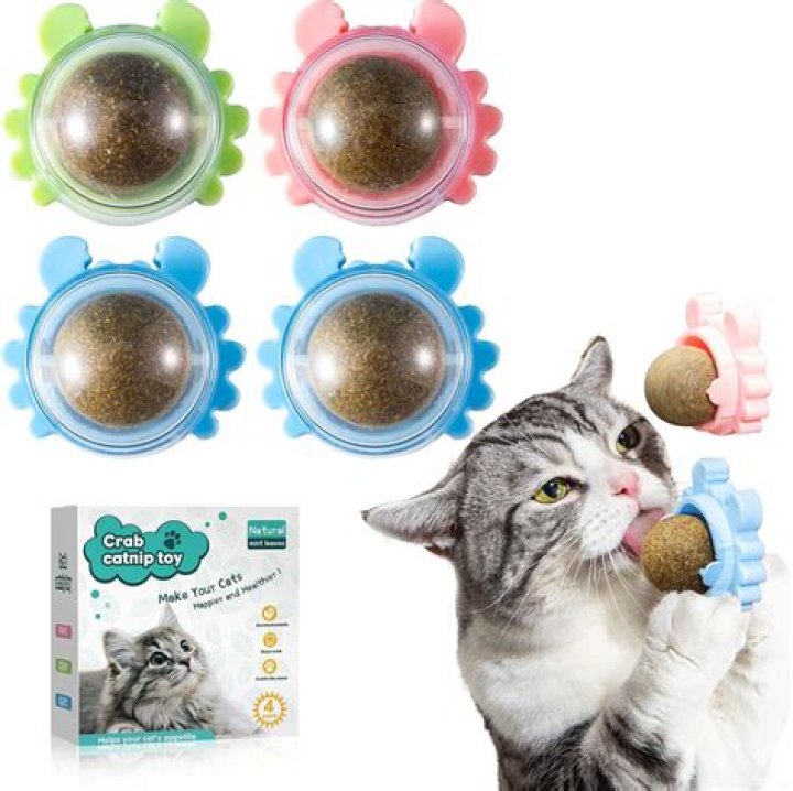 Is catnip good for hairballs?