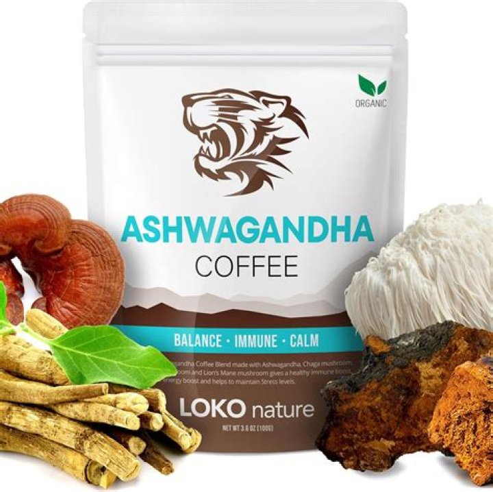 Is chaga good for dogs?