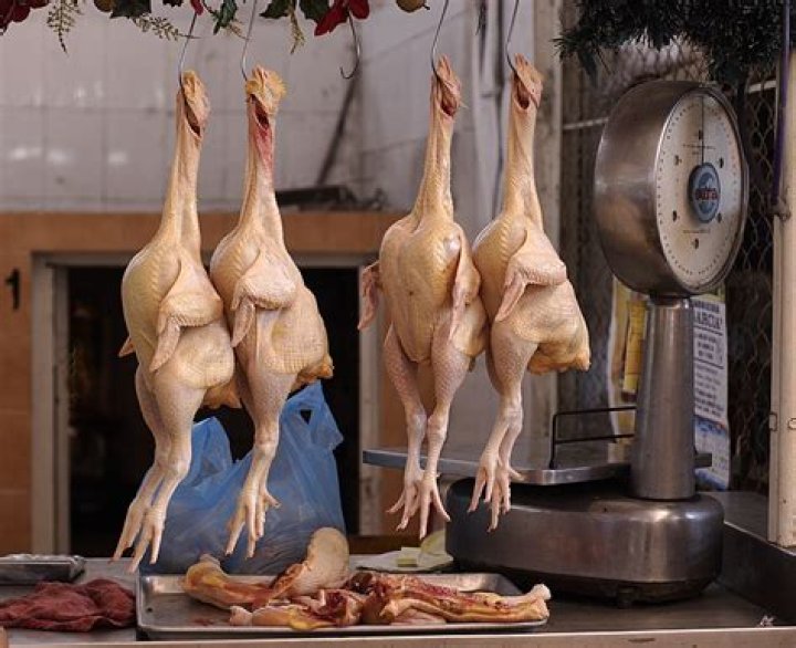 Is Chicken bad for brain?