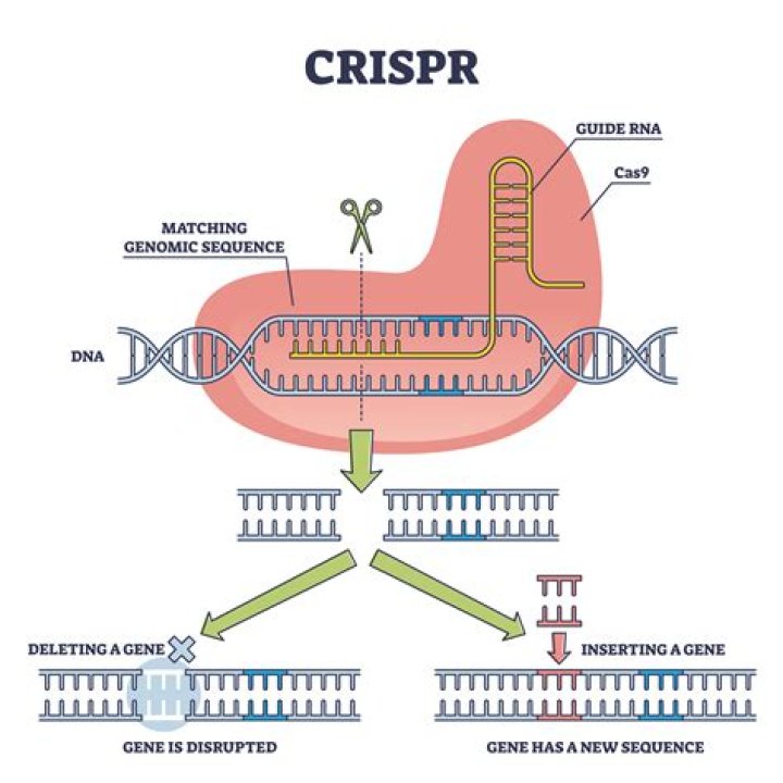 Is CRISPR used in India?