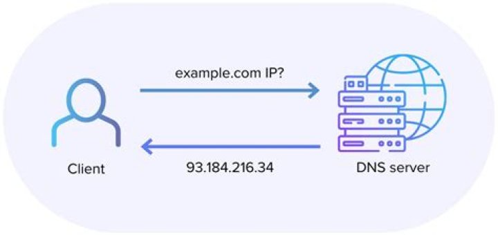 Is DNS and IP address the same?