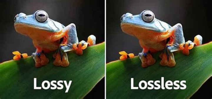 Is H 264 lossy or lossless?